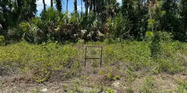 Image 4 Image 4