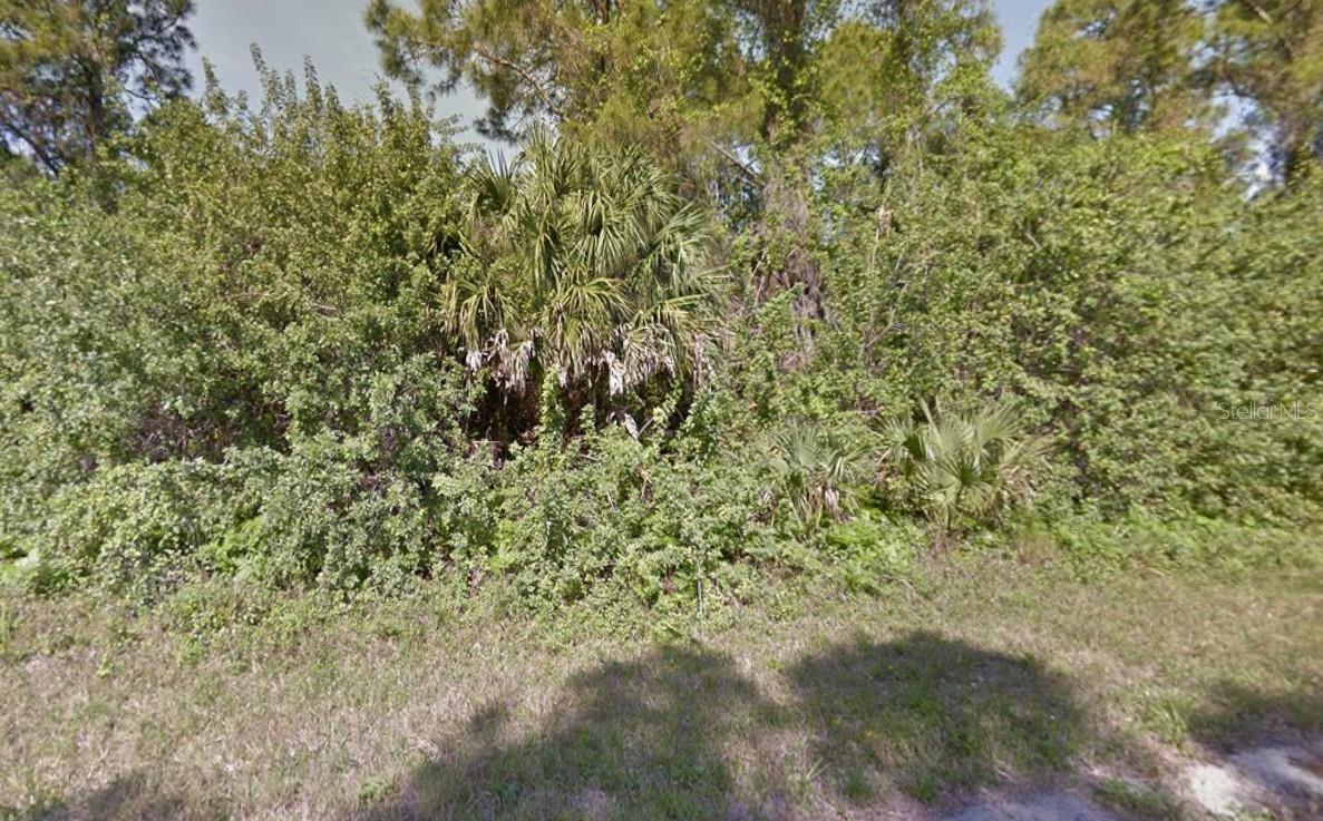 Image 1 Image 1