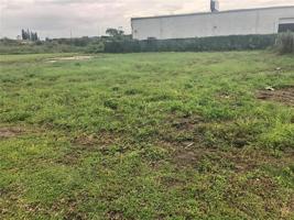 08-26-16-0180-00000-0910, FL, PASCO COUNTY