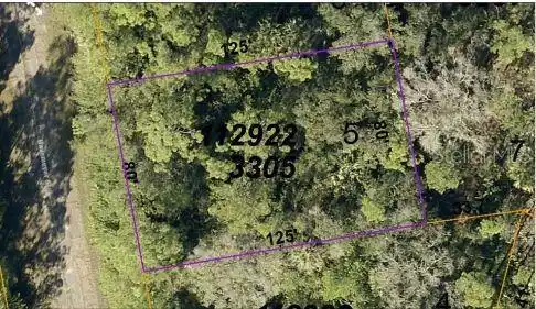 Image 3 Image 3