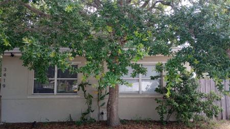 3419 OLD BRADENTON ROAD
