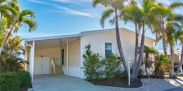 16 ALLIGATOR AVENUE