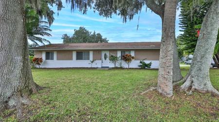 1604 UMBRELLA TREE DRIVE