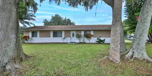 1604 UMBRELLA TREE DRIVE