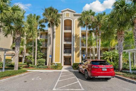 7019 RIVER HAMMOCK DRIVE