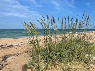 2669 S PONTE VEDRA BOULEVARD