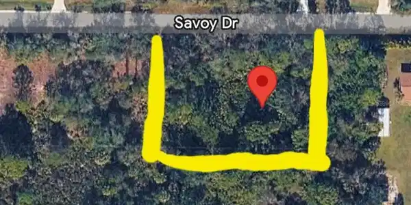 27113 SAVOY DRIVE