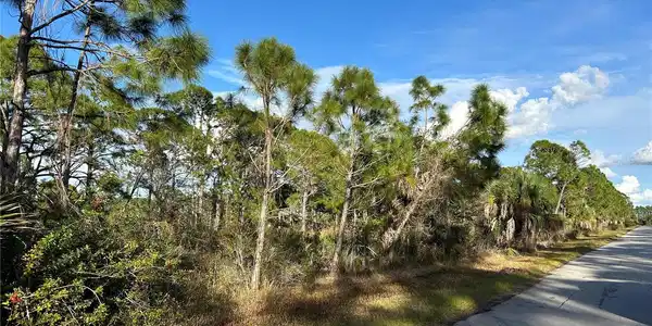 Image 4 Image 4