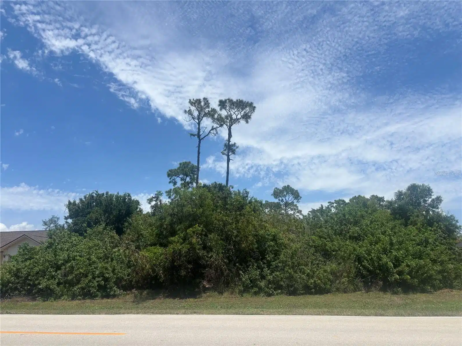 Image 1 Image 1