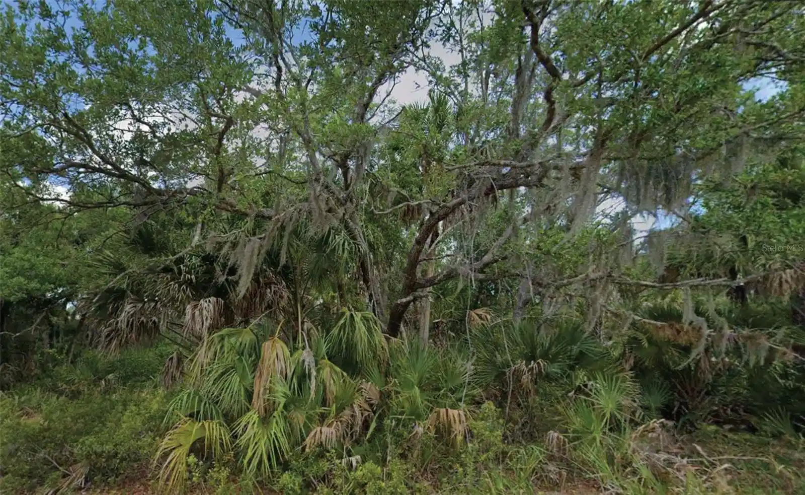 Image 1 Image 1