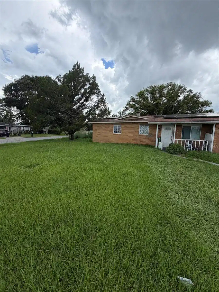 Image 1 Image 1