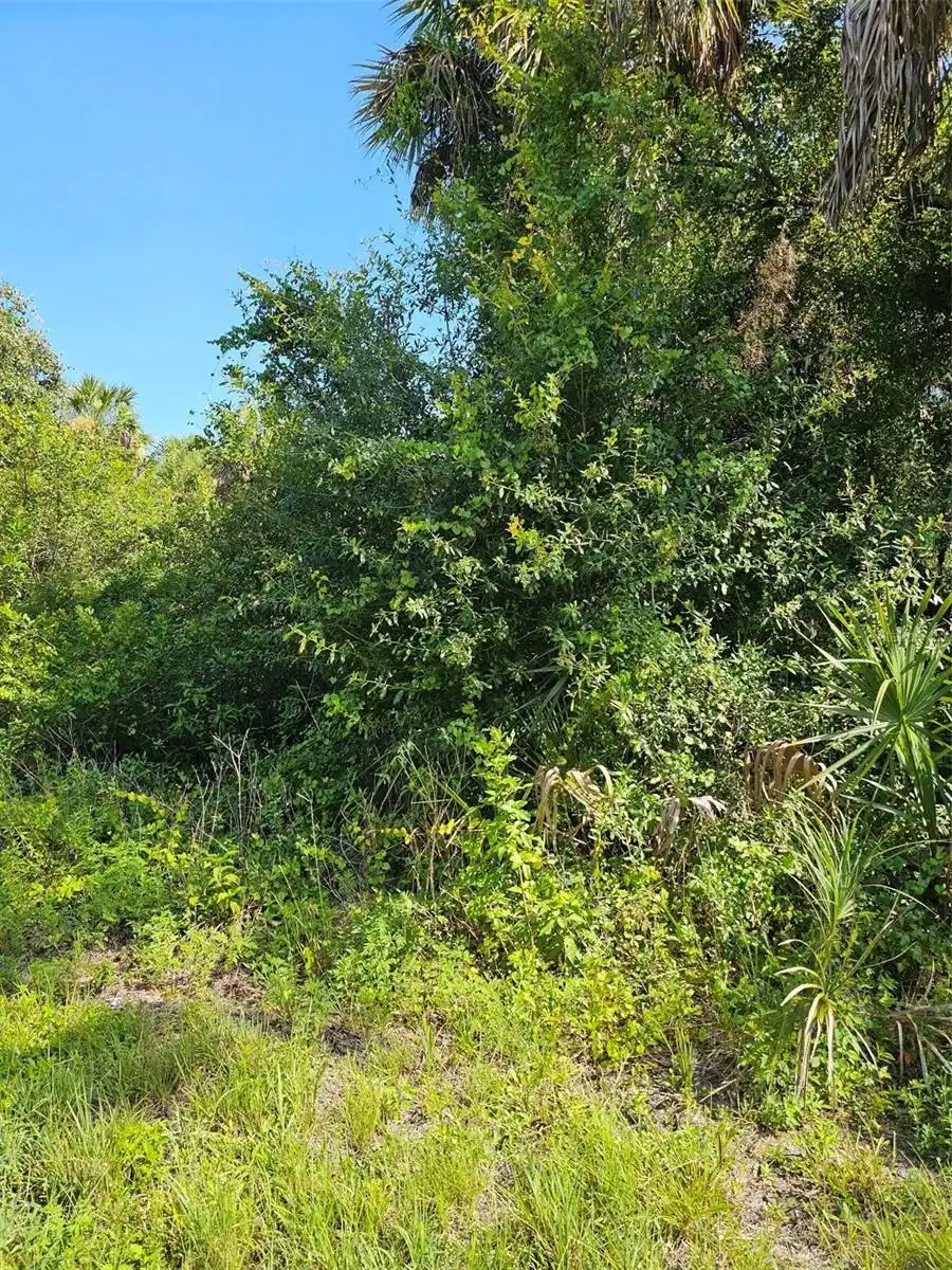 Image 1 Image 1