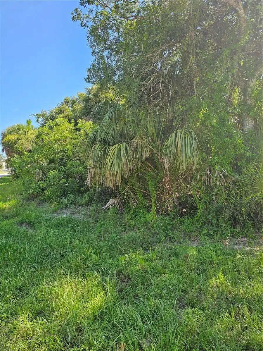 Image 1 Image 1
