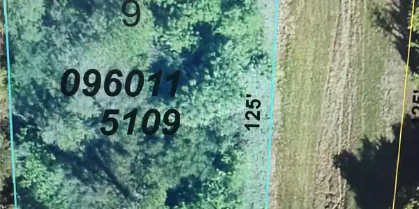 Image 2 Image 2