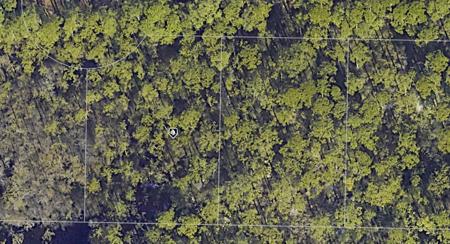 30-2S-20-33308-000-0120 LONG LEAF CIRCLE