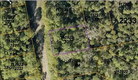 Image 4 Image 4