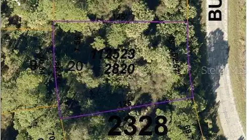 Image 4 Image 4