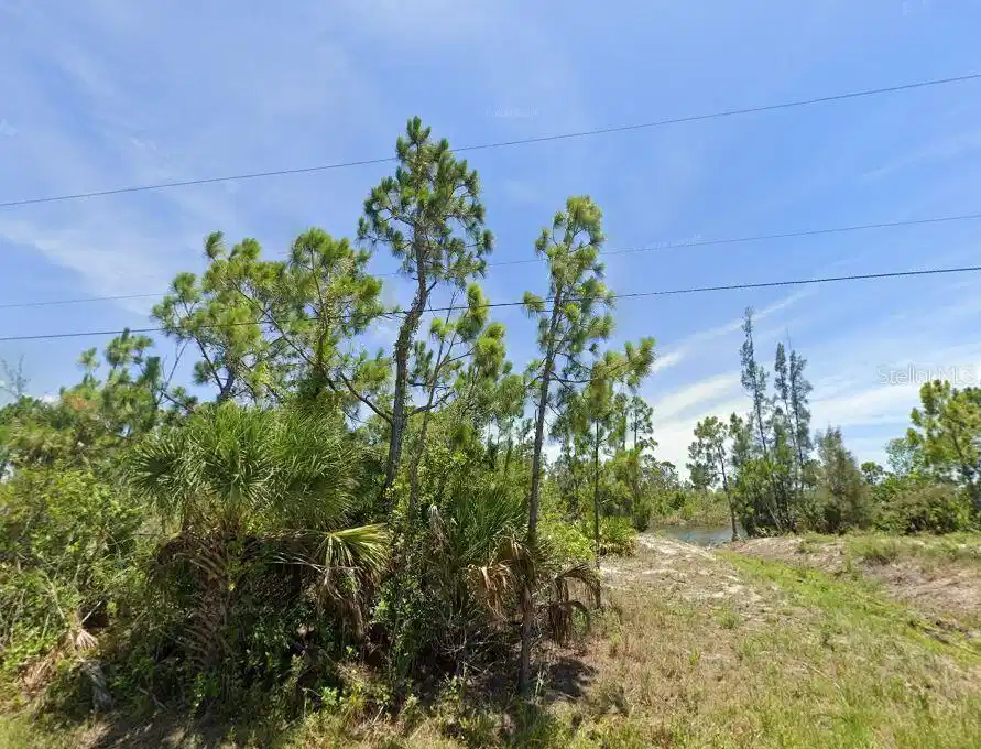 Image 1 Image 1