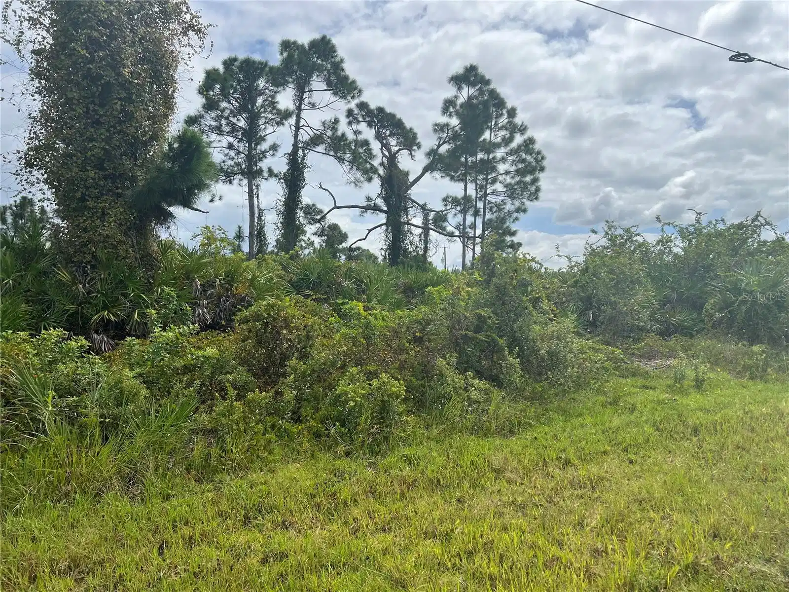 Image 1 Image 1