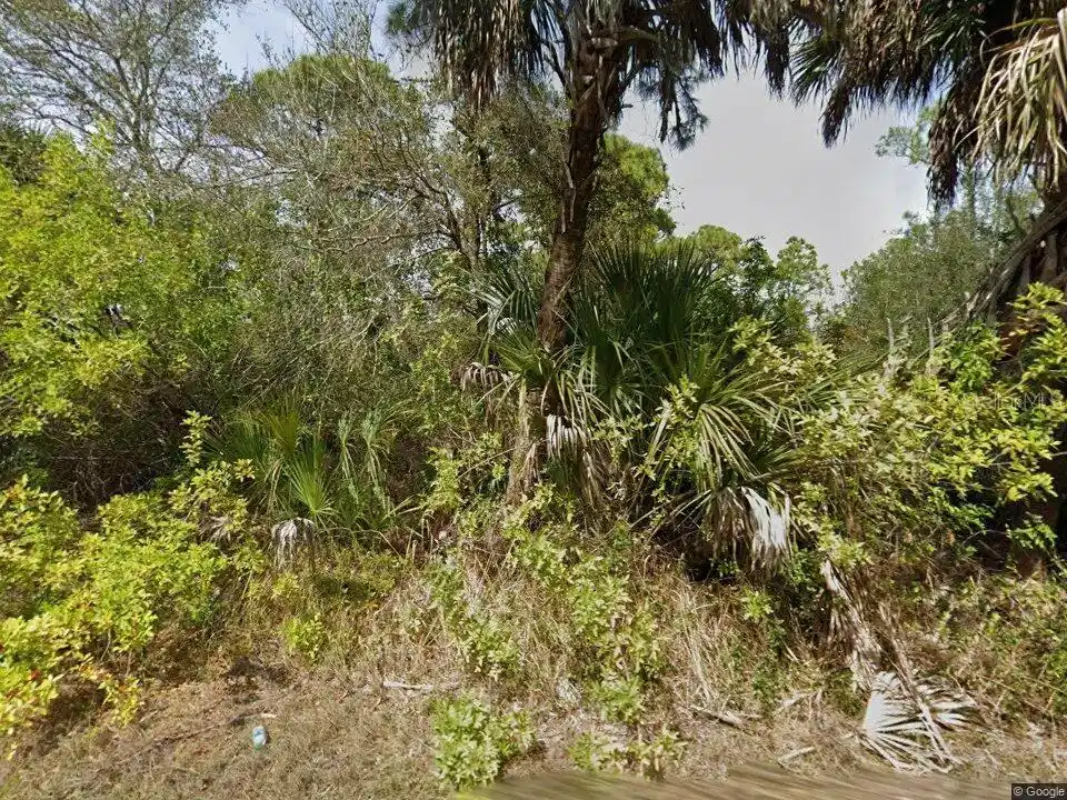 Image 1 Image 1