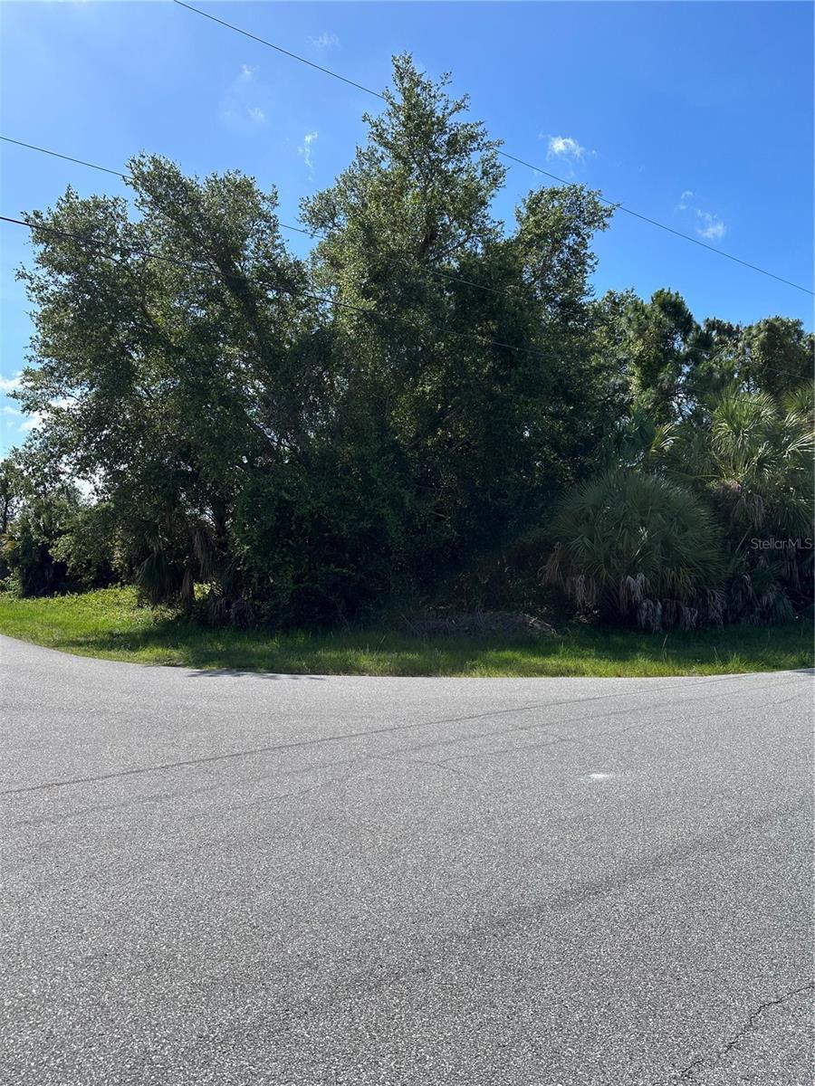 Image 1 Image 1