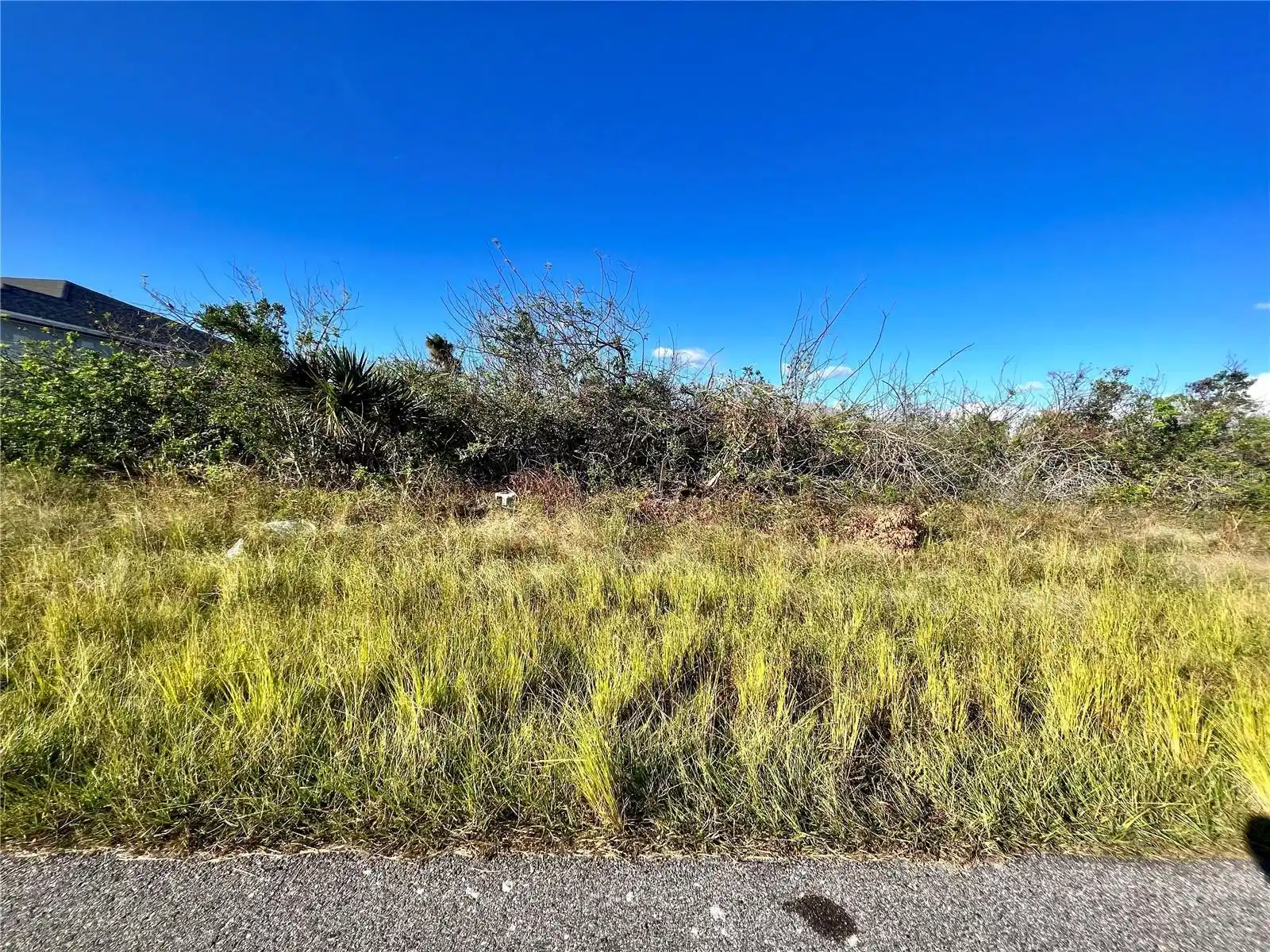 Image 1 Image 1
