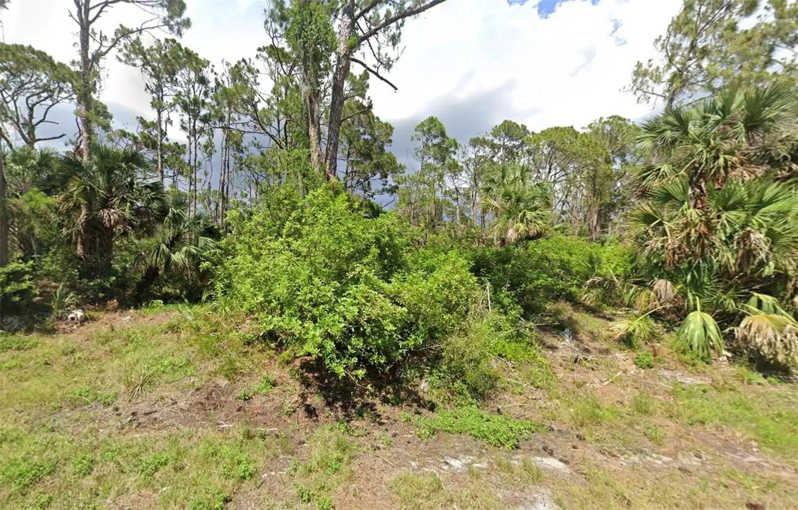 Image 1 Image 1