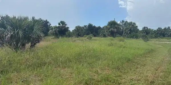 Image 4 Image 4