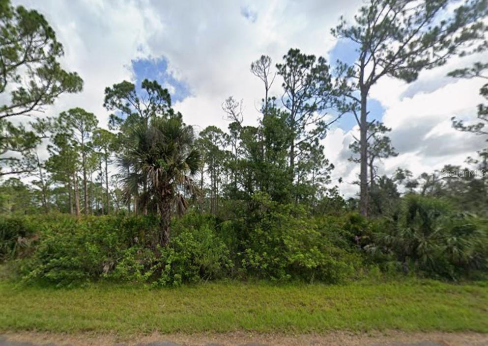 Image 1 Image 1