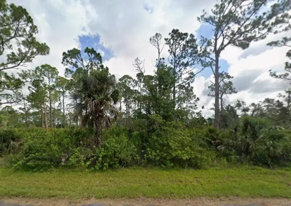 Image 1 Image 1