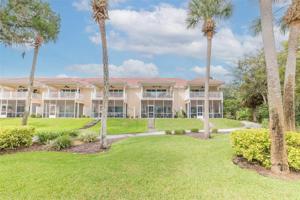 50 PALM HARBOR