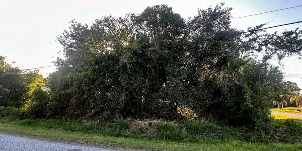 Image 4 Image 4