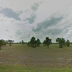 12295 QUAIL DRIVE