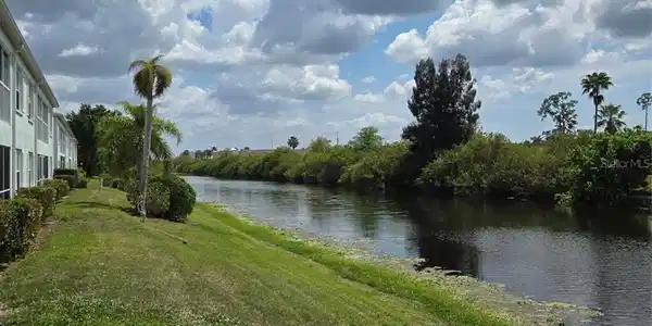 Image 4 Image 4