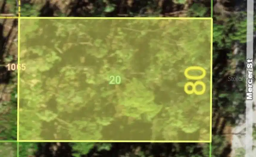 Image 1 Image 1