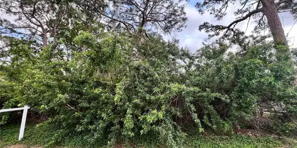 N FLORIDA AVENUE