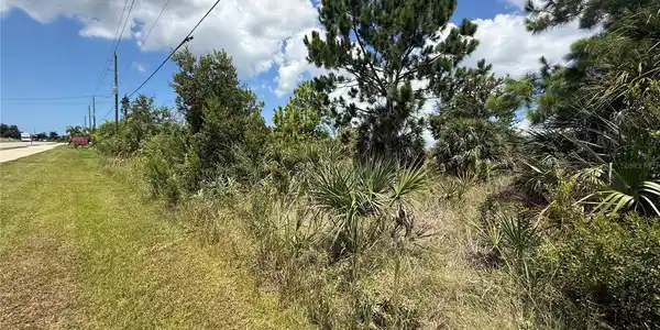 Image 4 Image 4