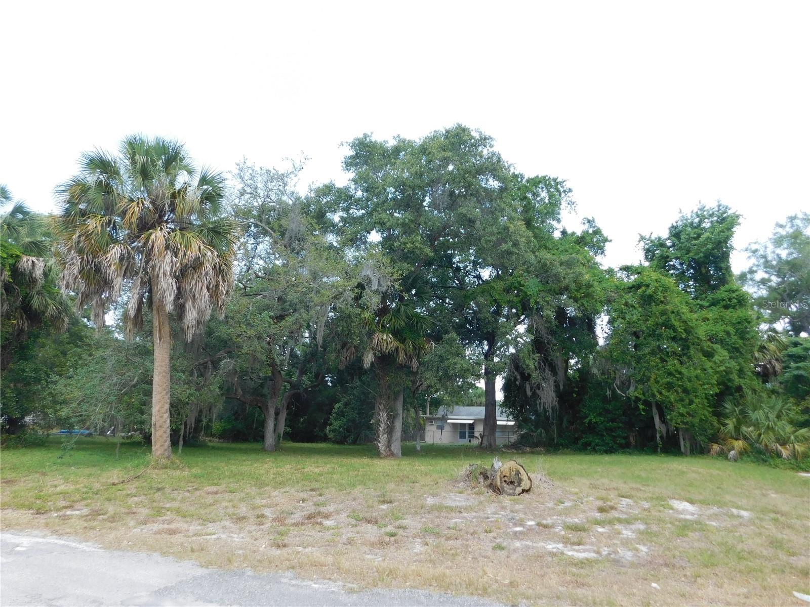 Image 1 Image 1