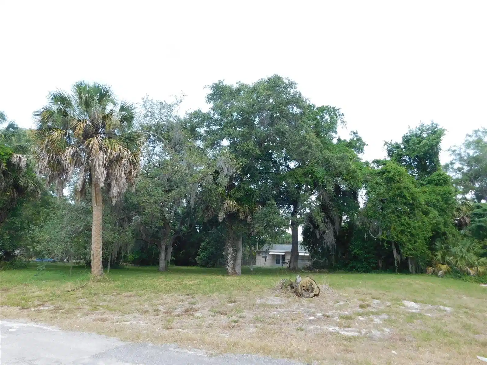 Image 1 Image 1