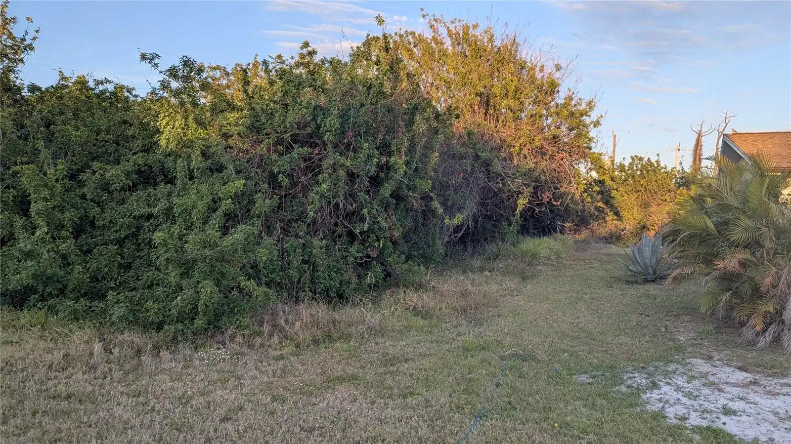Image 1 Image 1