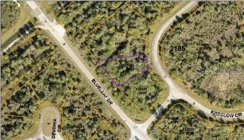 Image 4 Image 4