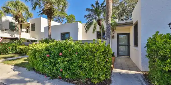 401 PALM TREE