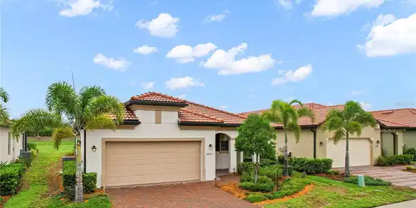 24153 SPARTINA
