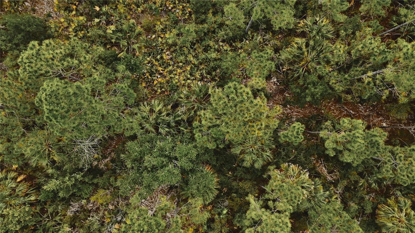 Image 3 Image 3