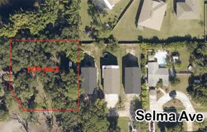 SELMA