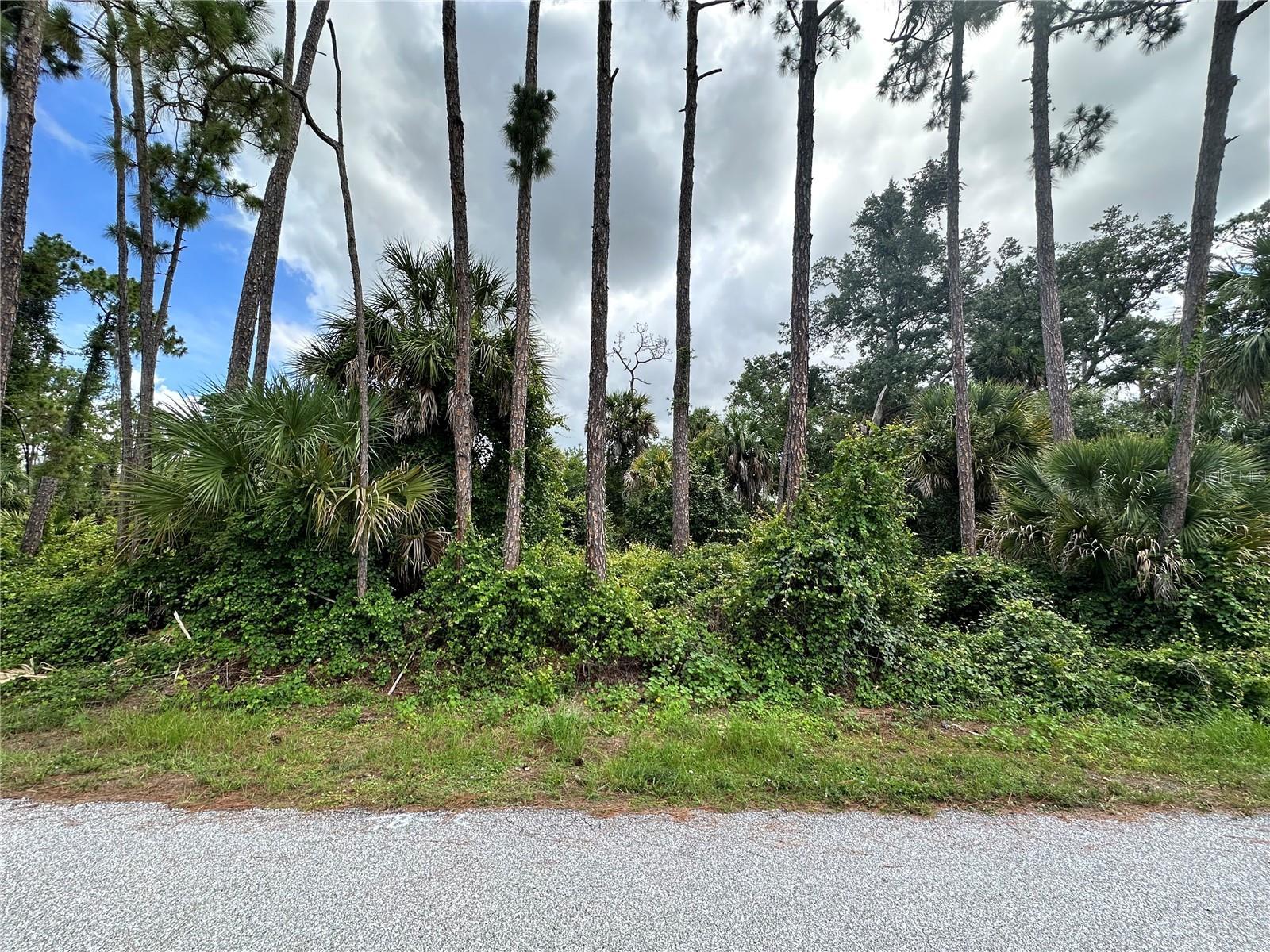 Image 1 Image 1