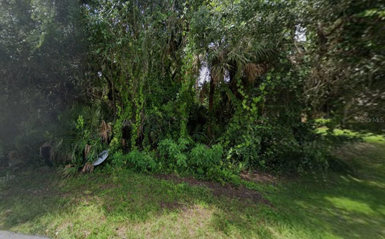 Image 4 Image 4