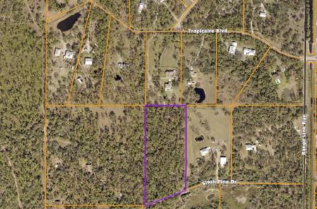 SLASH PINE DRIVE