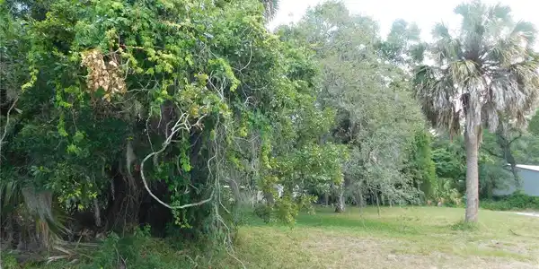 Image 4 Image 4