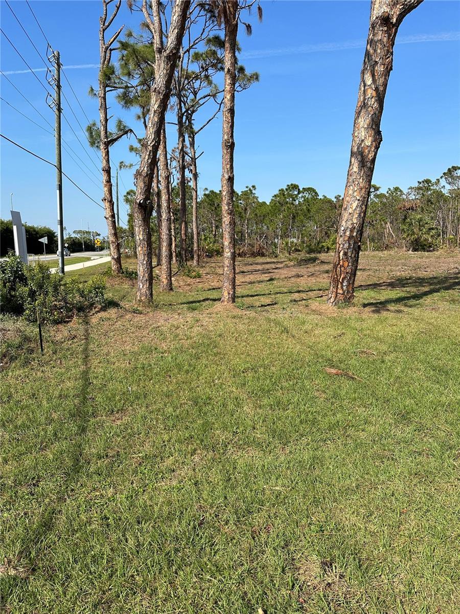 Image 4 Image 4